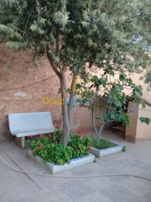 Vente Villa Tiaret Ain deheb