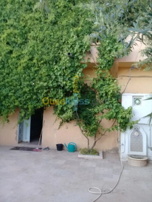 Vente Villa Tiaret Ain deheb