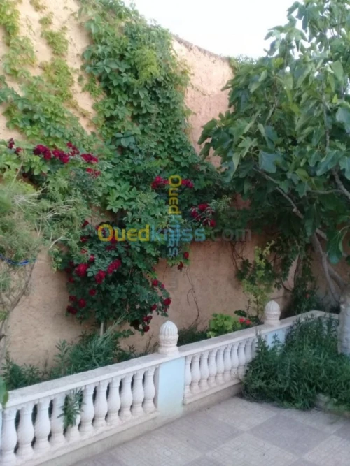 Vente Villa Tiaret Ain deheb