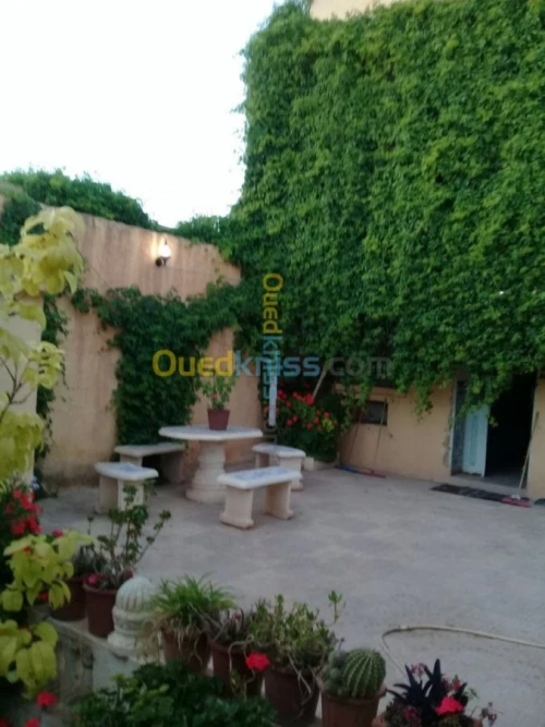 Vente Villa Tiaret Ain deheb