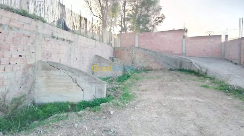 Vente Carcasse Blida El affroun