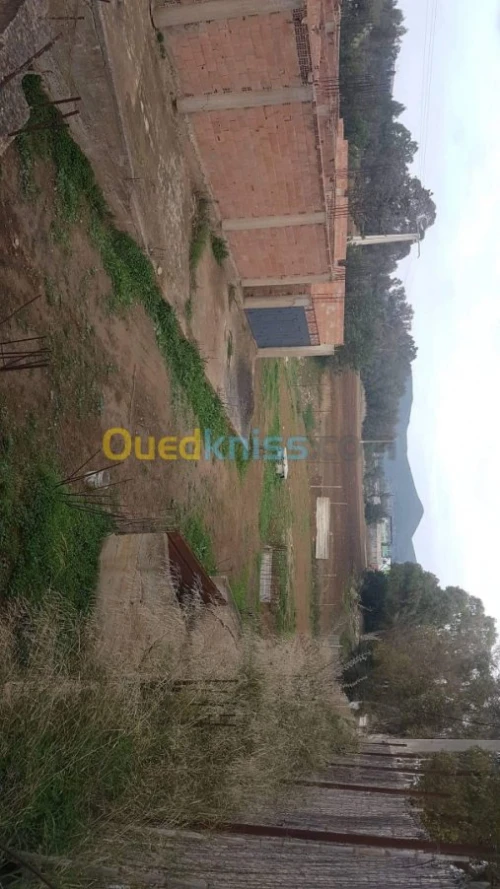 Vente Carcasse Blida El affroun