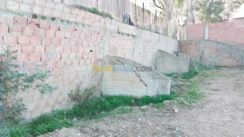 Vente Carcasse Blida El affroun