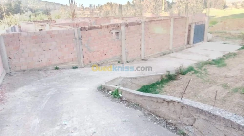 Vente Carcasse Blida El affroun