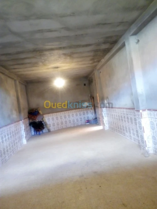 Vente bien immobilier Tlemcen Hammam boughrara
