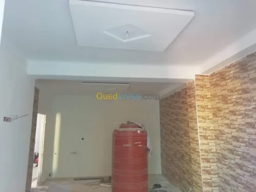 Placo-déco, peinture revetment murale.