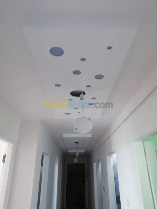 Placo-déco, peinture revetment murale.