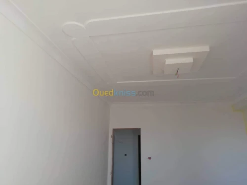 Placo-déco, peinture revetment murale.