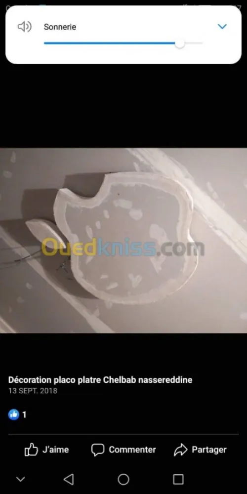 Placo-déco, peinture revetment murale.