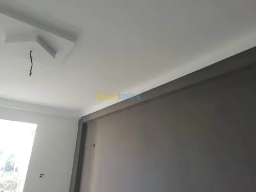 Placo-déco, peinture revetment murale.