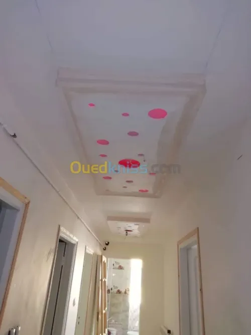 Placo-déco, peinture revetment murale.