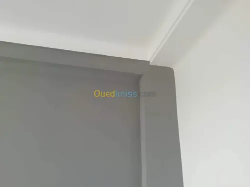 Placo-déco, peinture revetment murale.