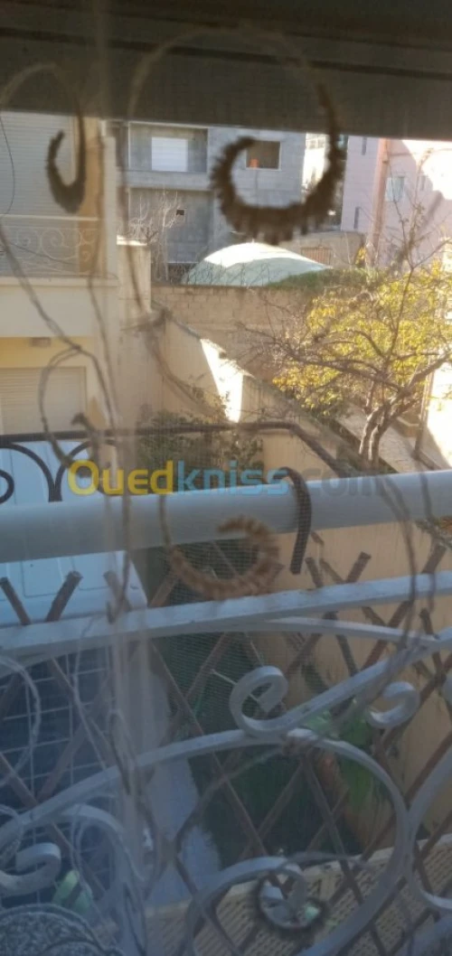 Vente Appartement F3 Alger Dely brahim