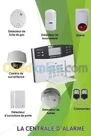 Camera Alarme Réseau Standard