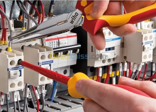 Camera Alarme Réseau Standard