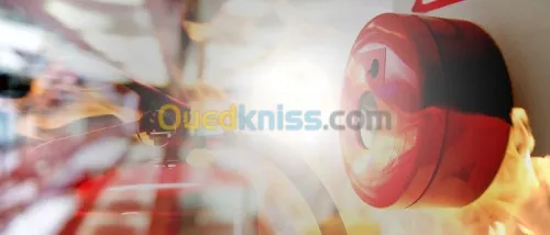 Camera Alarme Réseau Standard