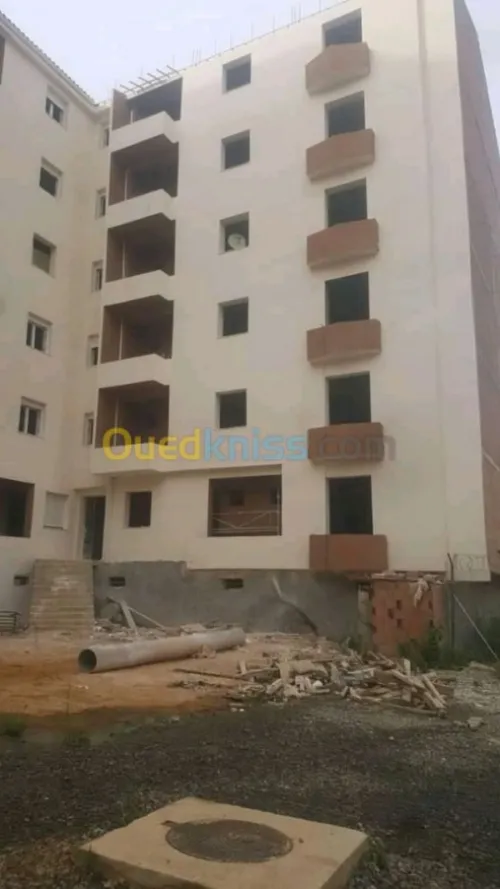 Decoration façades de monocouche