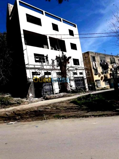 Decoration façades de monocouche