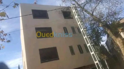 Decoration façades de monocouche