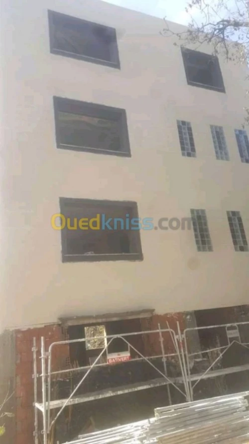 Decoration façades de monocouche