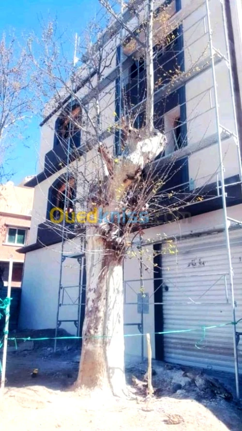 Decoration façades de monocouche