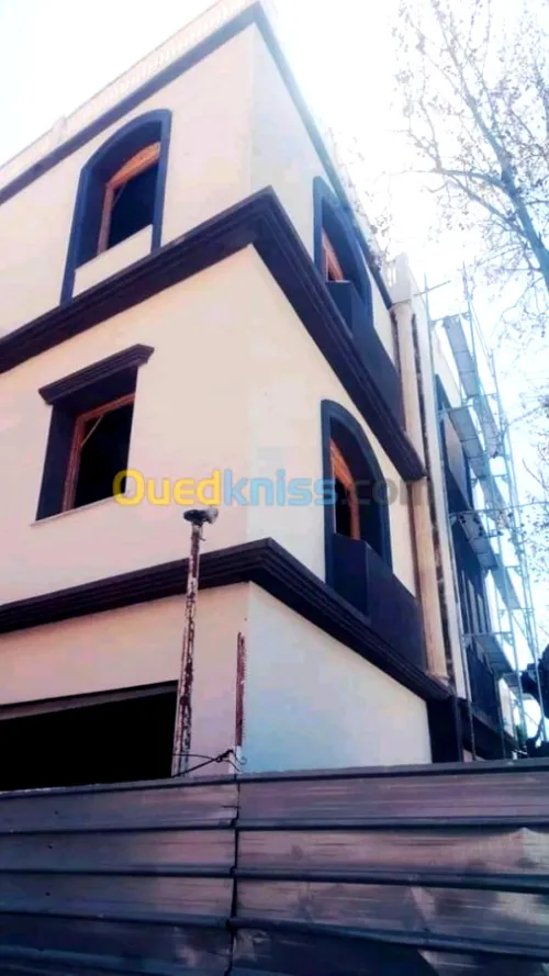 Decoration façades de monocouche