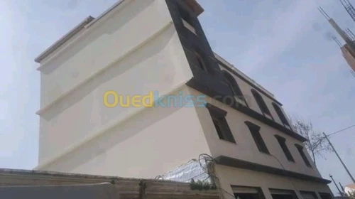 Decoration façades de monocouche