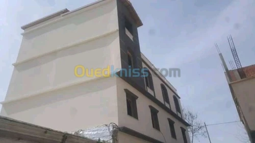 Decoration façades de monocouche