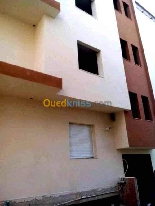 Decoration façades de monocouche