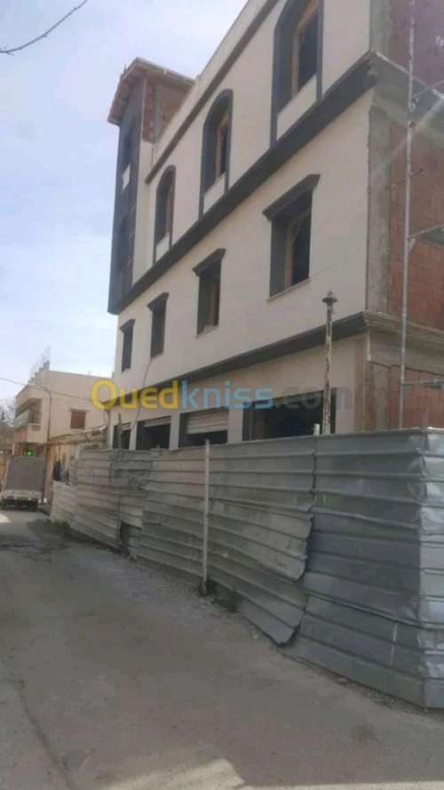 Decoration façades de monocouche