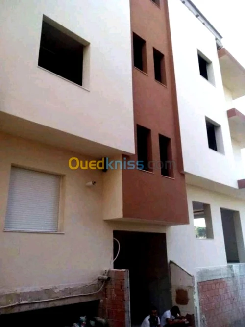 Decoration façades de monocouche