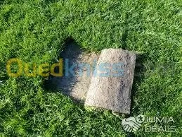 décoration espace vert  et jardin 