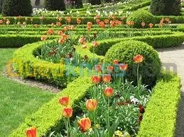 décoration espace vert  et jardin 