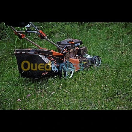 Tondeuse a gazon essence daewoo