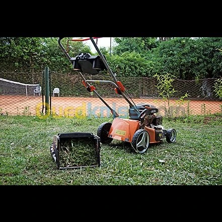 Tondeuse a gazon essence daewoo