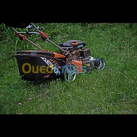 TONDEUSE GAZON THERMIQUE DAEWOO