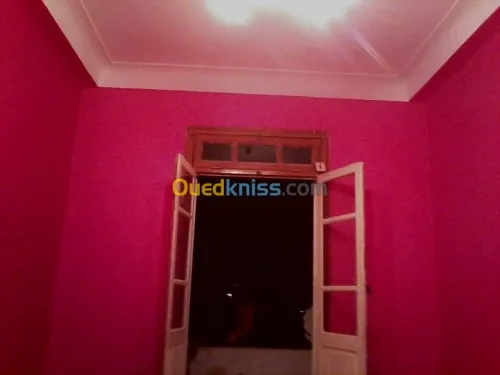 peintre professionnel 