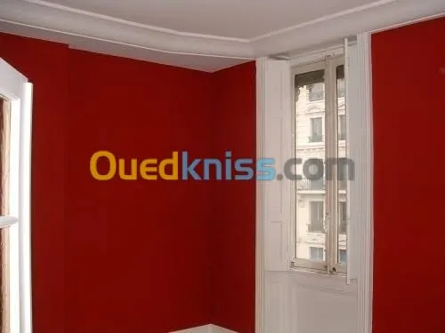 peintre professionnel 