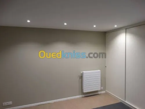 peintre professionnel 