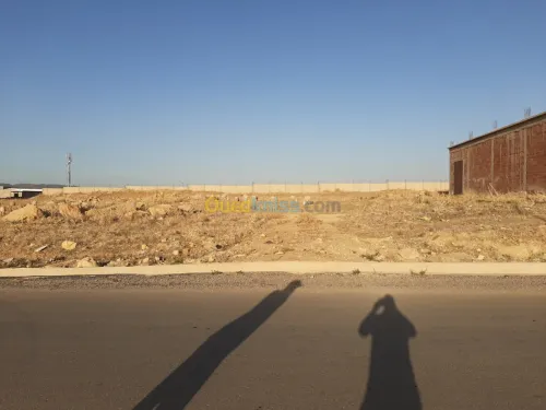 Vente Hangar Tiaret Tiaret