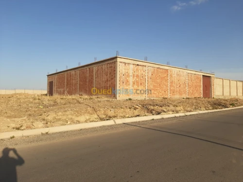 Vente Hangar Tiaret Tiaret