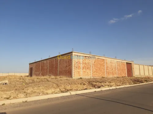 Vente Hangar Tiaret Tiaret