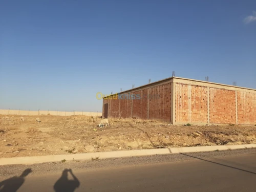 Vente Hangar Tiaret Tiaret