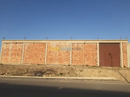 Vente Hangar Tiaret Tiaret