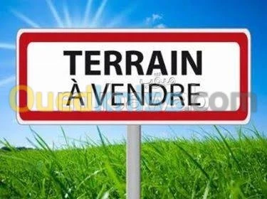 Vente Terrain Tlemcen Tlemcen