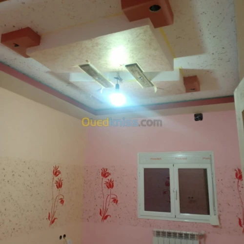 Decoration placoplatre et painter 