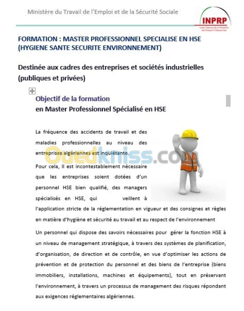 Formation Master Pros SIE & HSE.