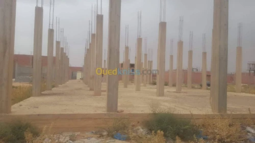 Vente Carcasse Djelfa Djelfa