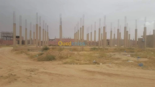 Vente Carcasse Djelfa Djelfa