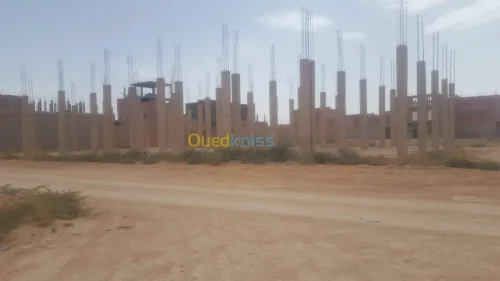 Vente Carcasse Djelfa Djelfa